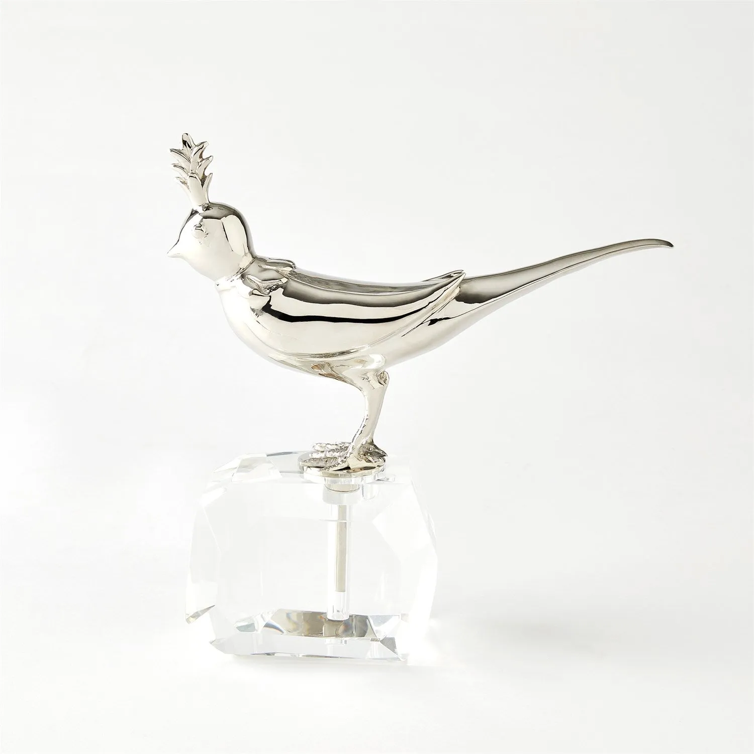 Bird on Crystal Rock