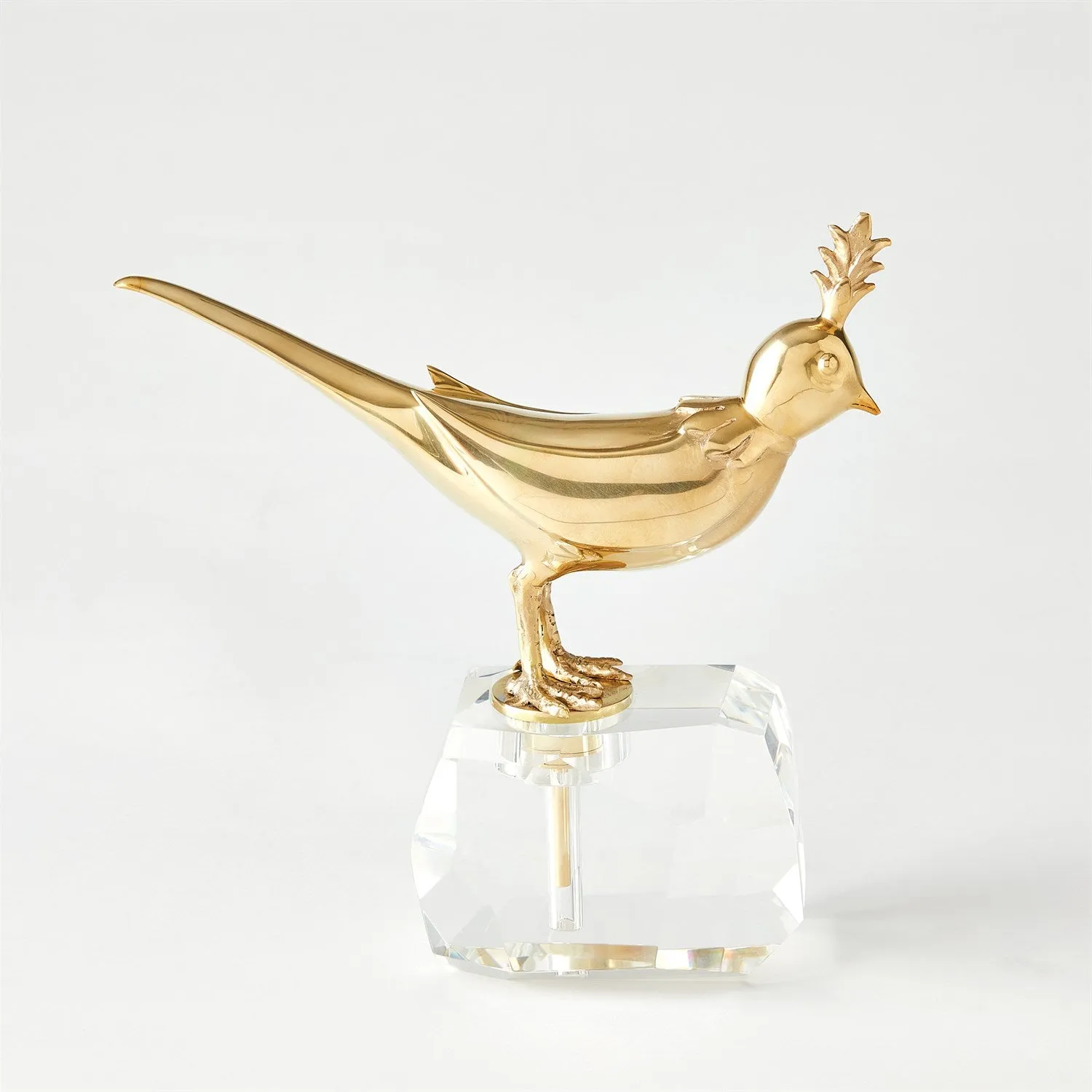 Bird on Crystal Rock