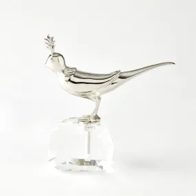 Bird on Crystal Rock
