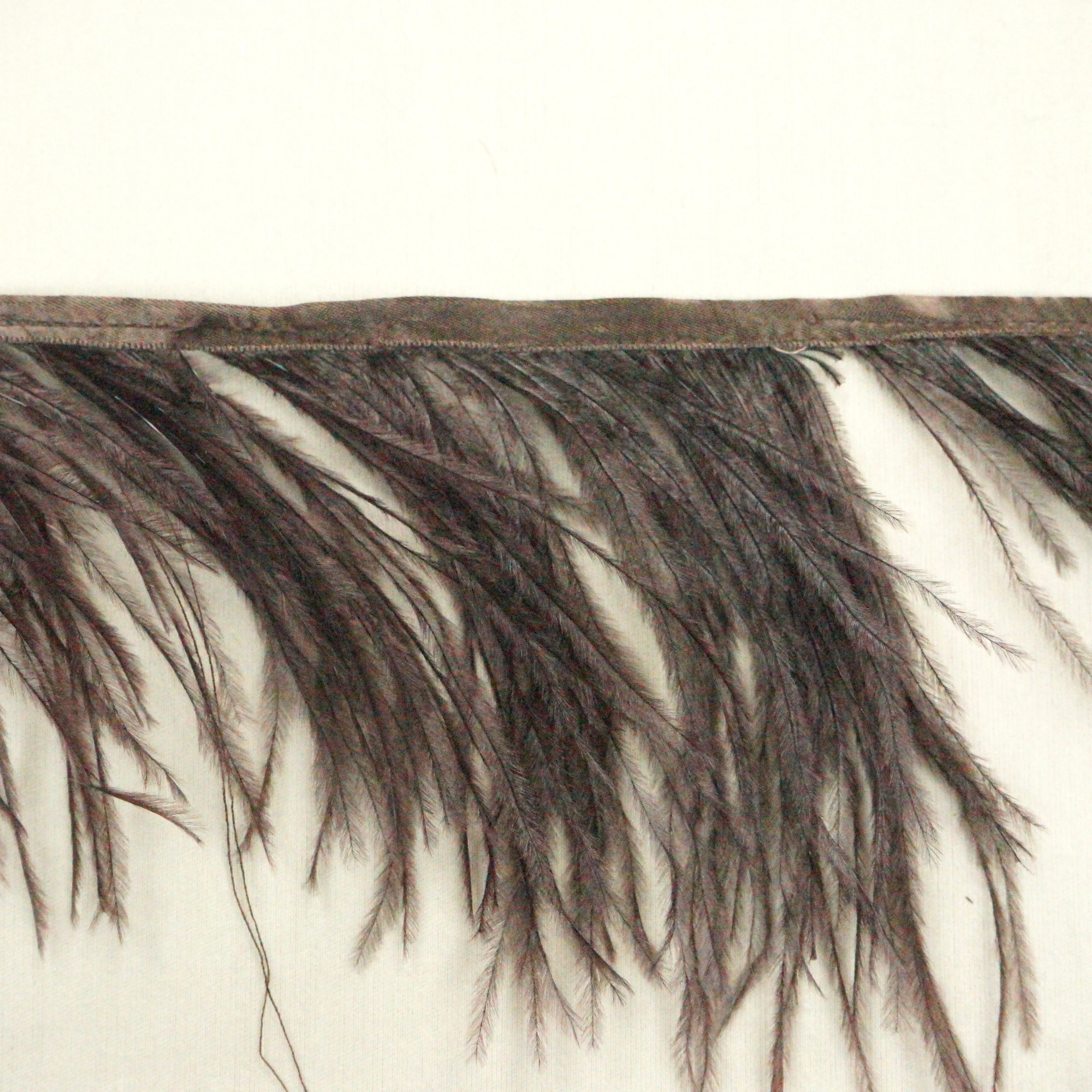 Dark Brown Ostrich Feather Trim 2 PLY