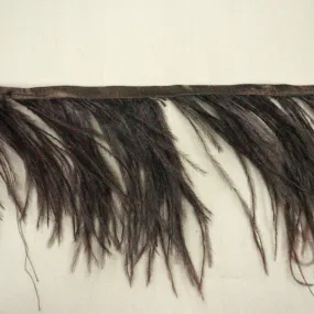 Dark Brown Ostrich Feather Trim 2 PLY