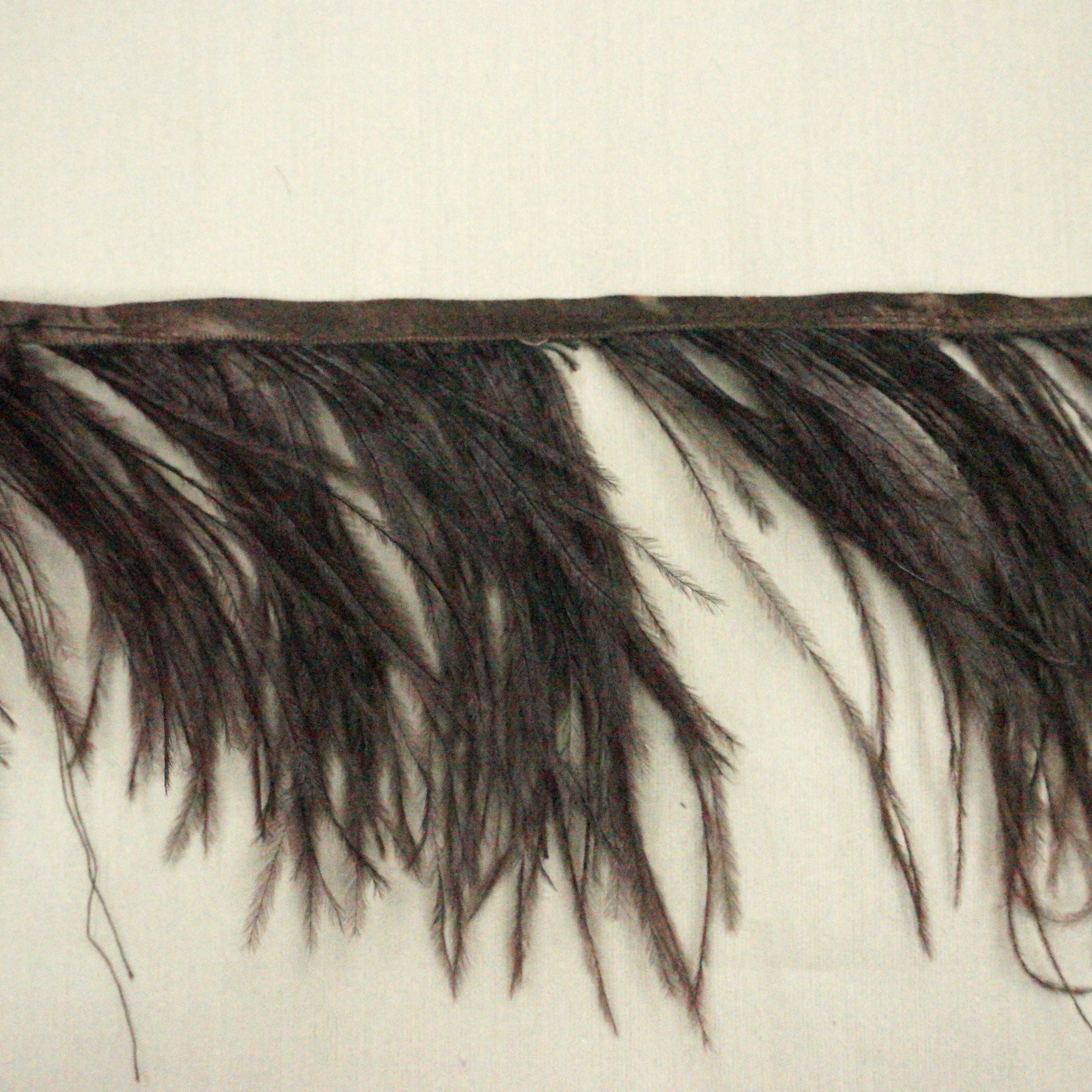 Dark Brown Ostrich Feather Trim 2 PLY