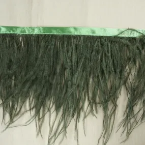 Olive Green Ostrich Feather Trim 2 PLY