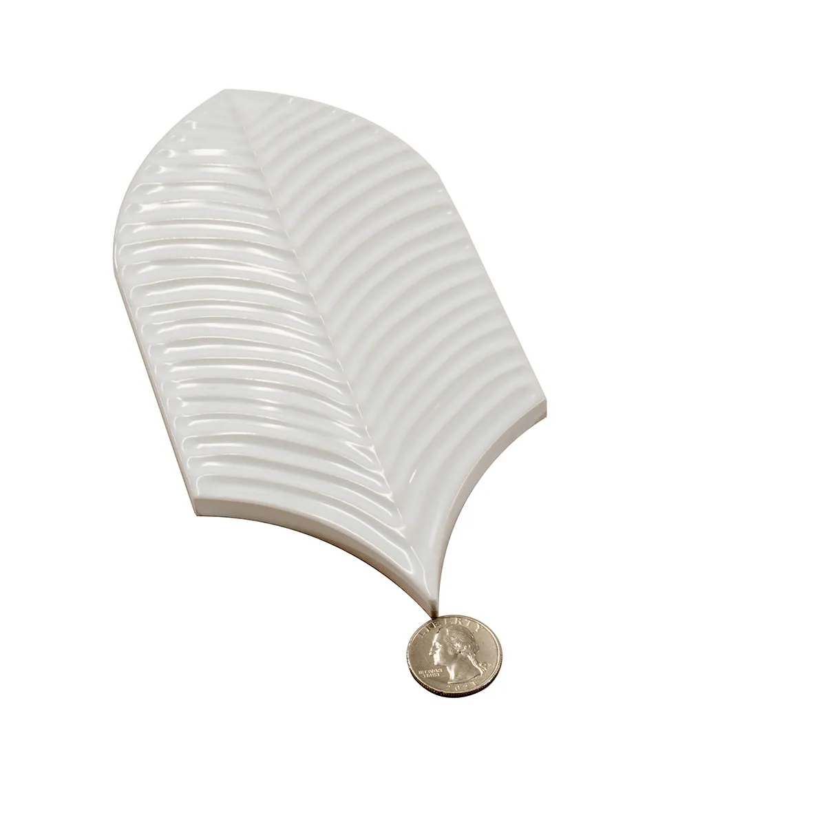 Plume White Feather Ceramic Tile