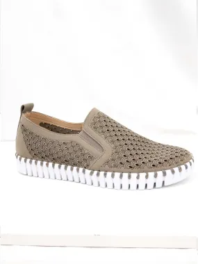 Tulip 140 Perforated Slip-On Sneaker in Falcon