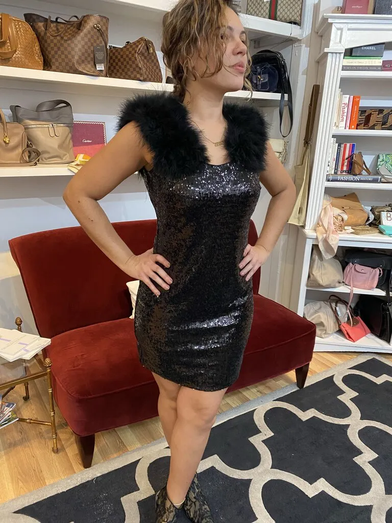 Tyler Boe Angie Sequin Feather Dress NEW size 2